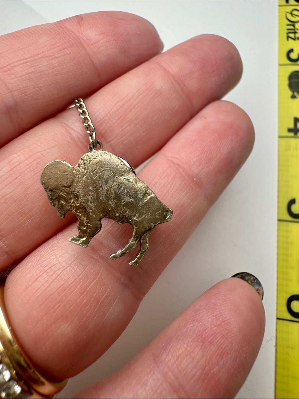 Gold-Tone Buffalo Tie Clip